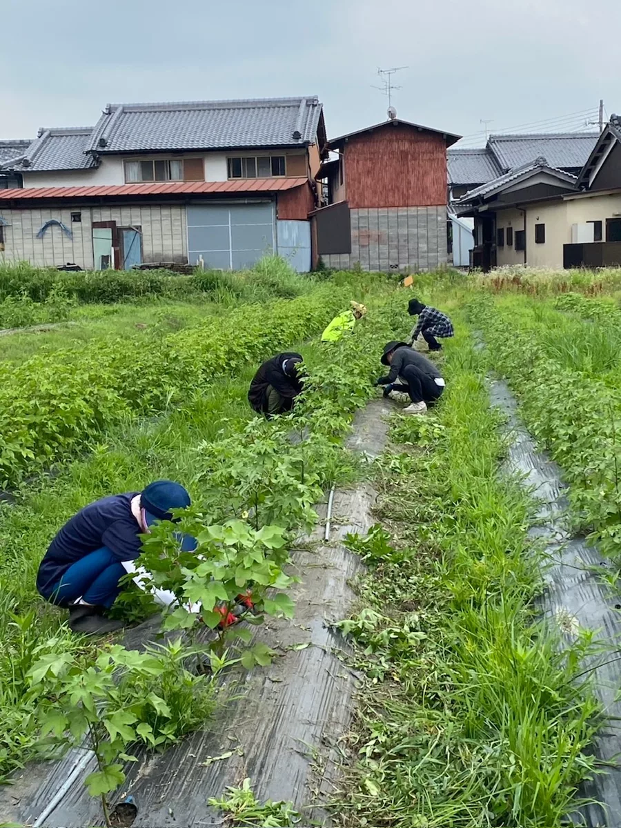 H.A.M.A.木綿庵（ゆうあん）